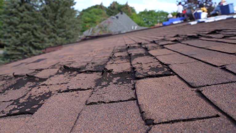 Best Flat Roofing  in Mabank, TX